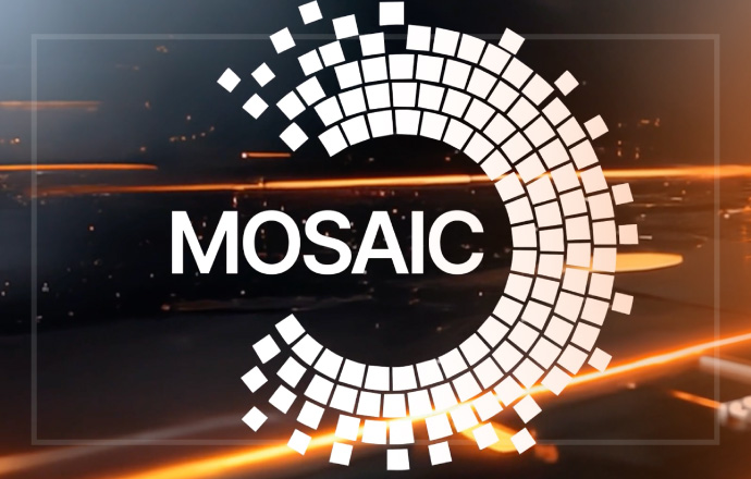 Strategy Mosaic Universal Intelligence