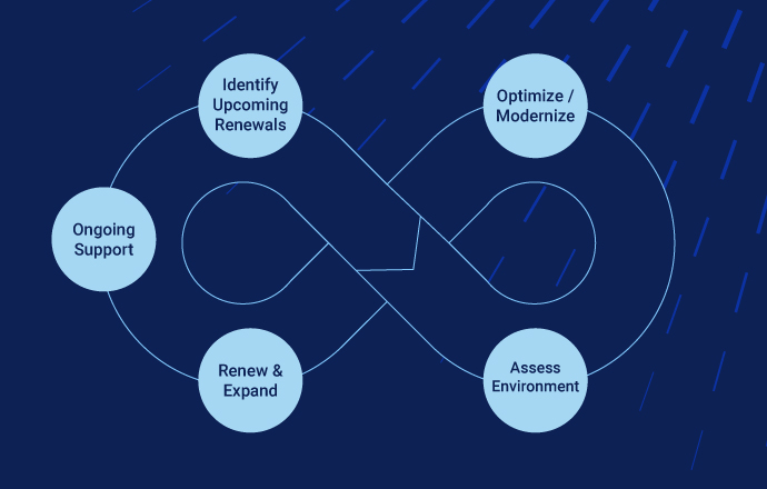 A Lifecycle Approach to Renewals