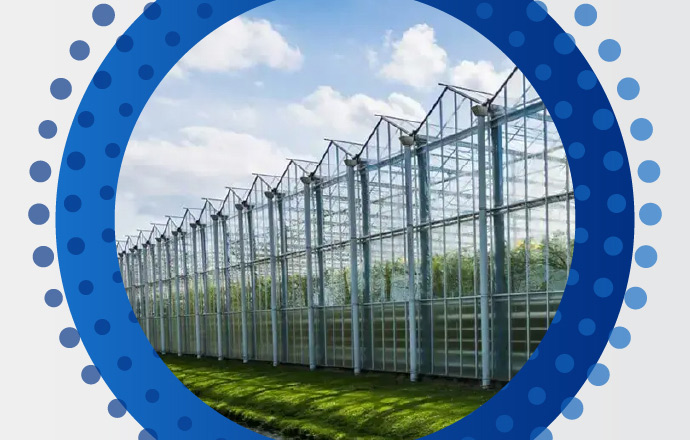 Cannabis Regulation Graphic